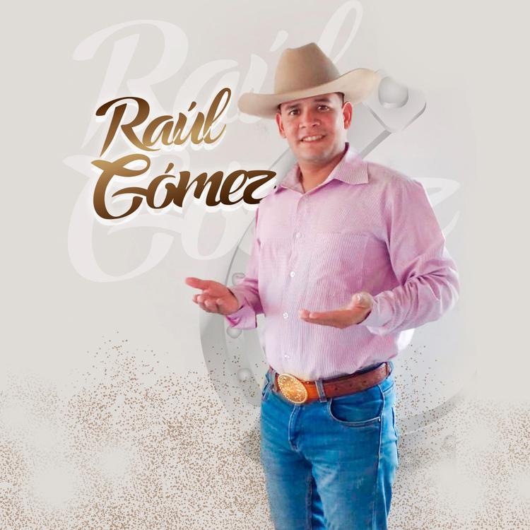 Raúl Gómez's avatar image