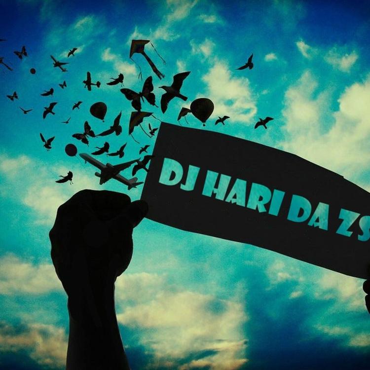 DJ Hari Da Zs's avatar image