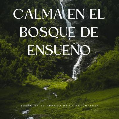 Calma En El Bosque De Ensueño: Sueño En El Abrazo De La Naturaleza's cover