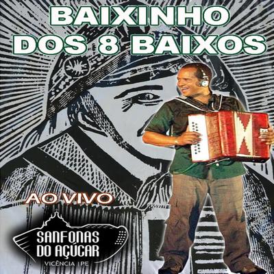 Forró do Xenhénhém By Baixinho dos 8 Baixos's cover