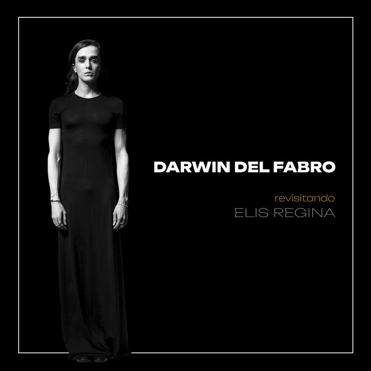 Darwin Del Fabro's avatar image