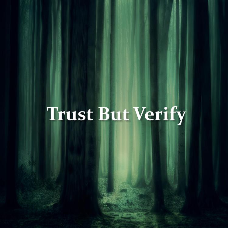 Trust But Verify's avatar image