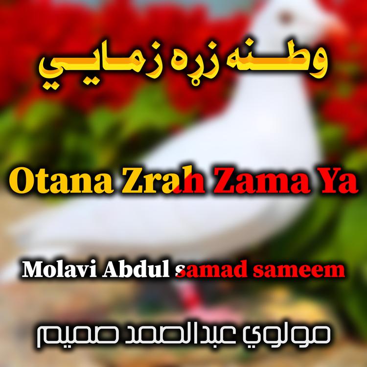 Molavi Abdul samad sameem's avatar image