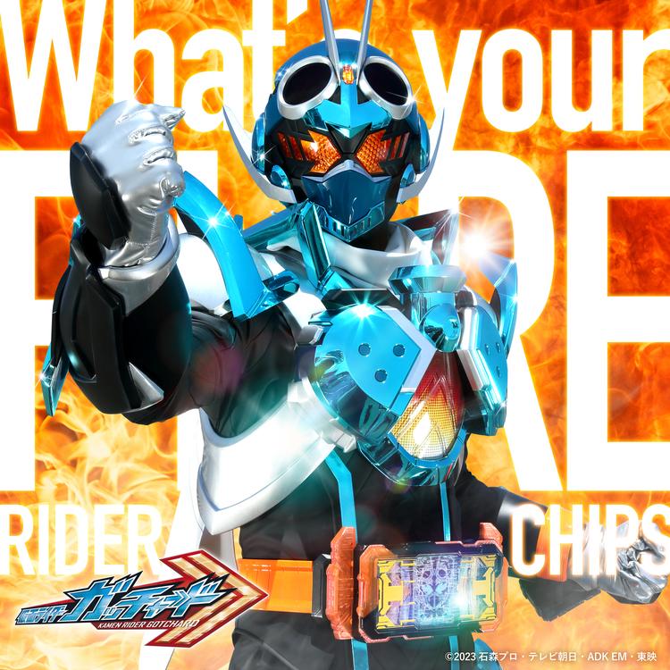 RIDER CHIPS's avatar image