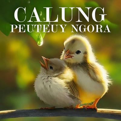 Calung Peuteuy Ngora's cover