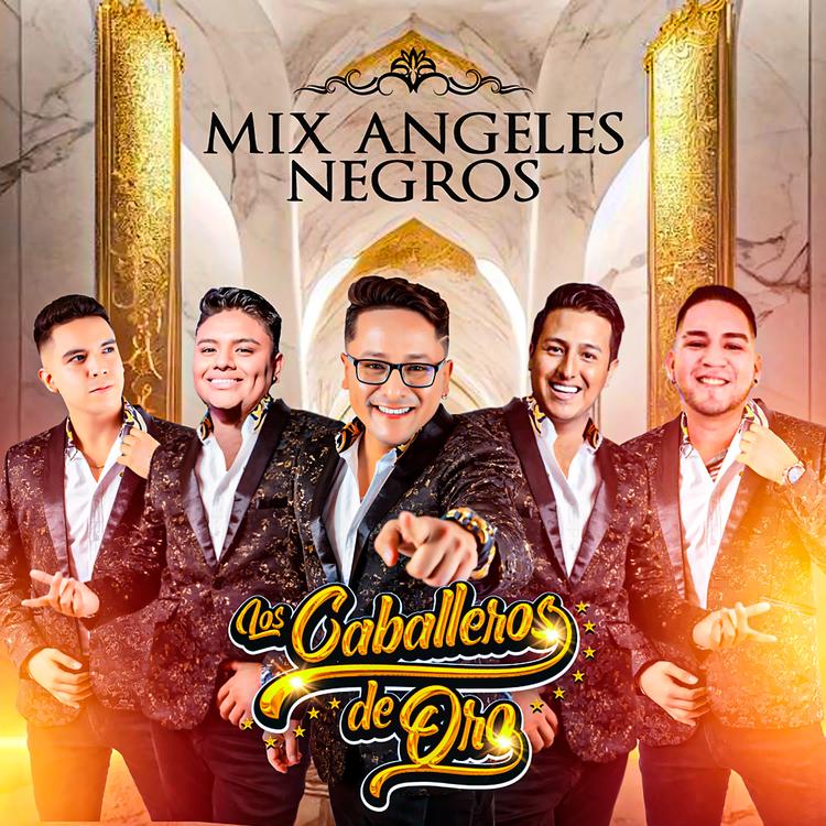 Los Caballeros De Oro's avatar image