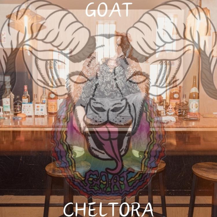 CHELTORA's avatar image