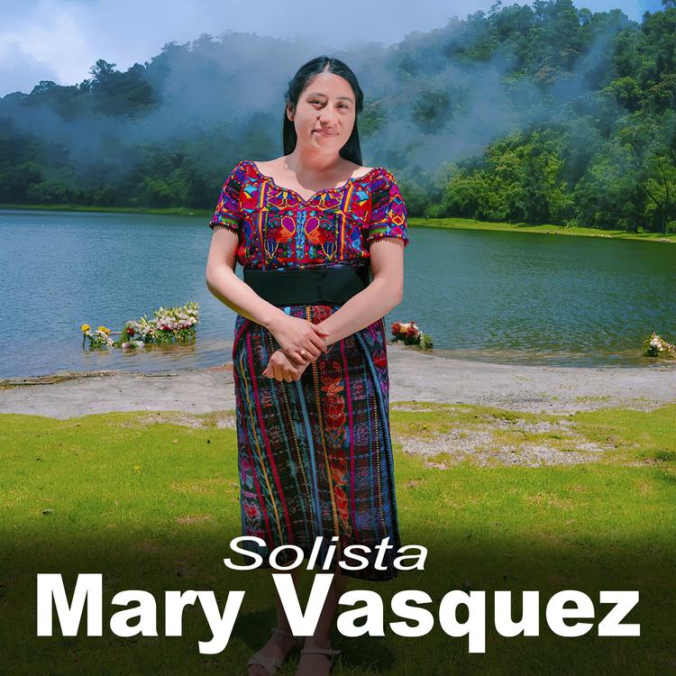 Mary Vasquez's avatar image