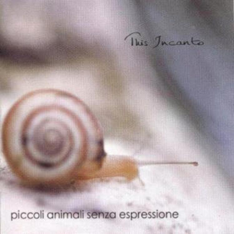 PICCOLI ANIMALI SENZA ESPRESSIONE's avatar image