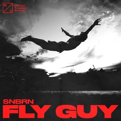 Fly Guy By SNBRN's cover