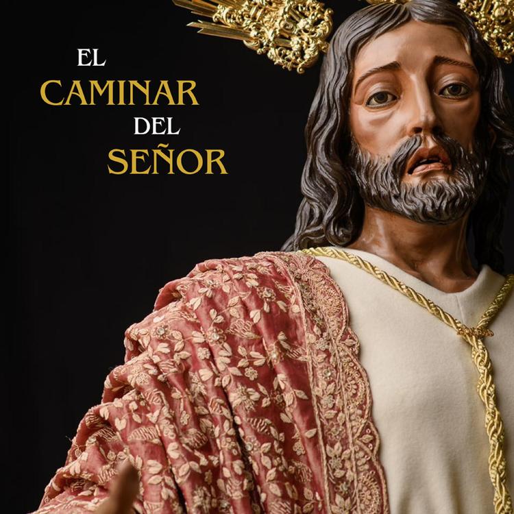 Agrupación Musical Santísimo Cristo de la Bondad's avatar image