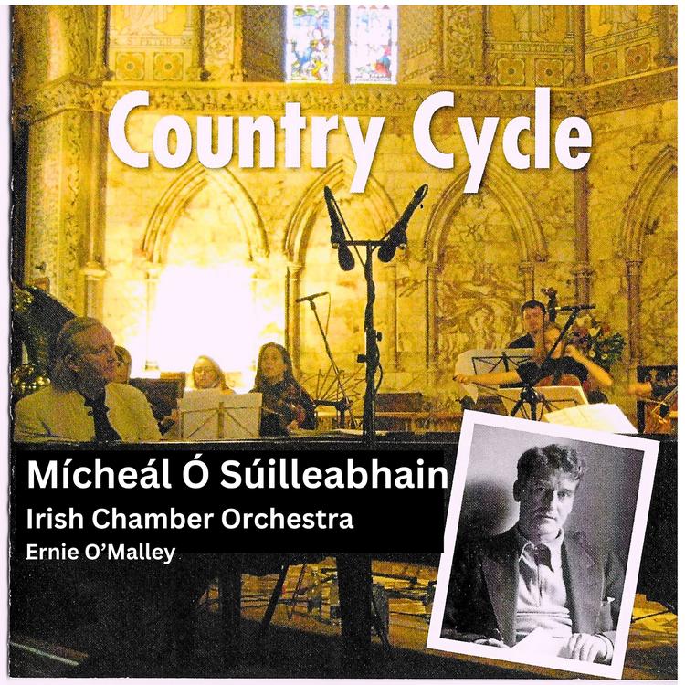 Mícheál Ó Súilleabháin's avatar image