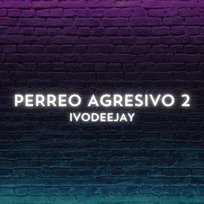 PERREO AGRESIVO 2's cover