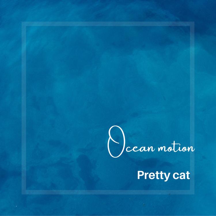 Ocean Motion's avatar image