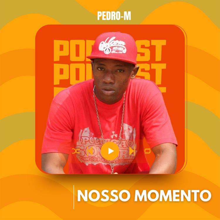Pedro M's avatar image