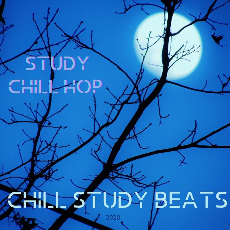 Study Chillhop's avatar image