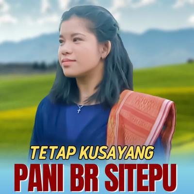 PANI Br SITEPU's cover