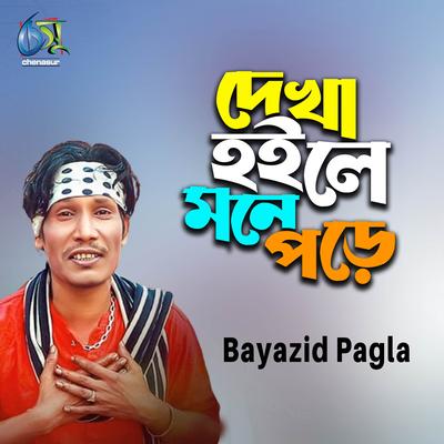 Bayazid Pagla's cover