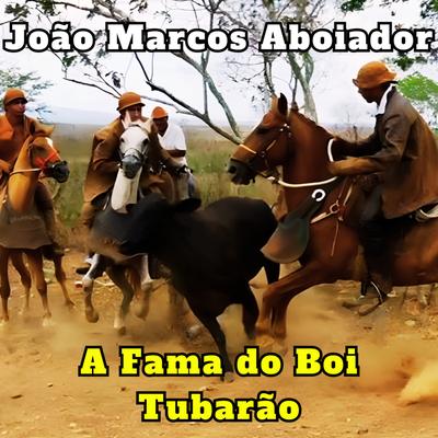 Boi Salgadinho X Vaca Linda Jóia's cover