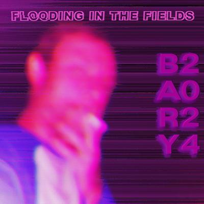 Flooding in the Fields's cover
