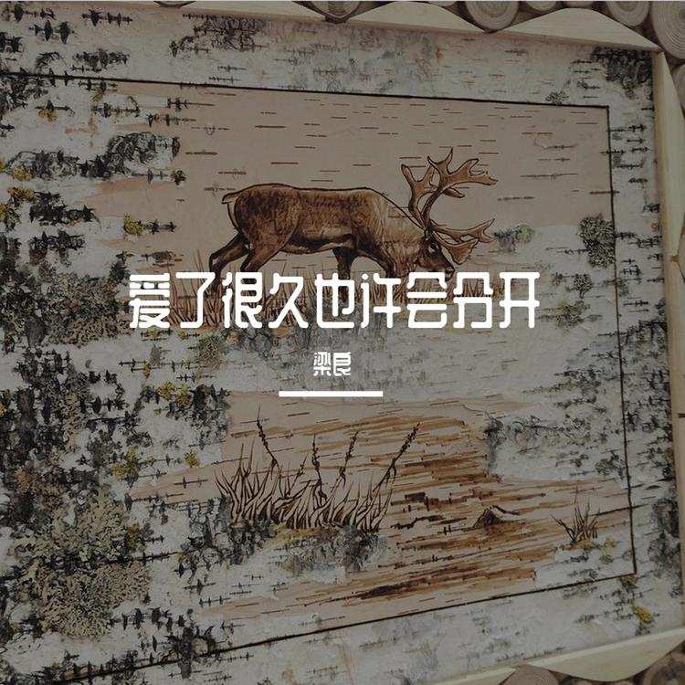 梁良's avatar image