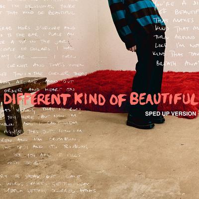 Different Kind Of Beautiful (Sped Up Version)'s cover