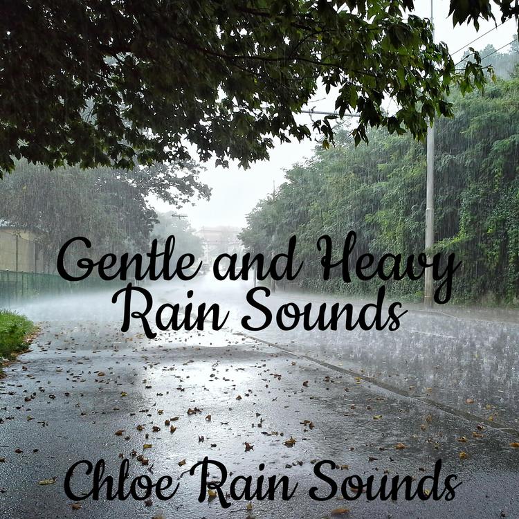 Chloe Rain Sounds's avatar image