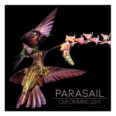 Our Dimming Light By Parasail's cover