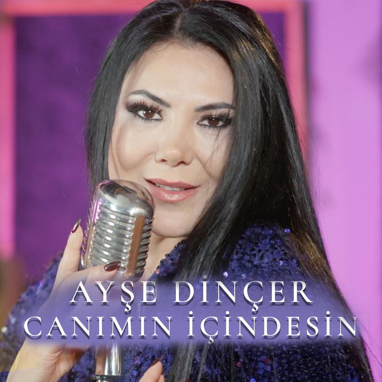 Ayşe Dinçer's avatar image