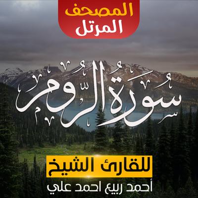 الشيخ - أحمد ربيع احمد على's cover