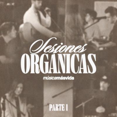 Sesiones Orgánicas - Parte 1's cover