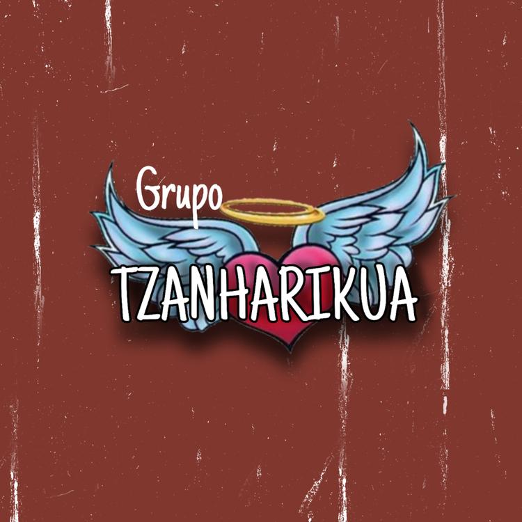 grupo Tsanharikua's avatar image