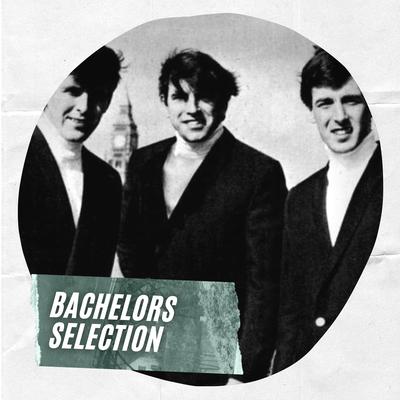 Bachelors Selection's cover