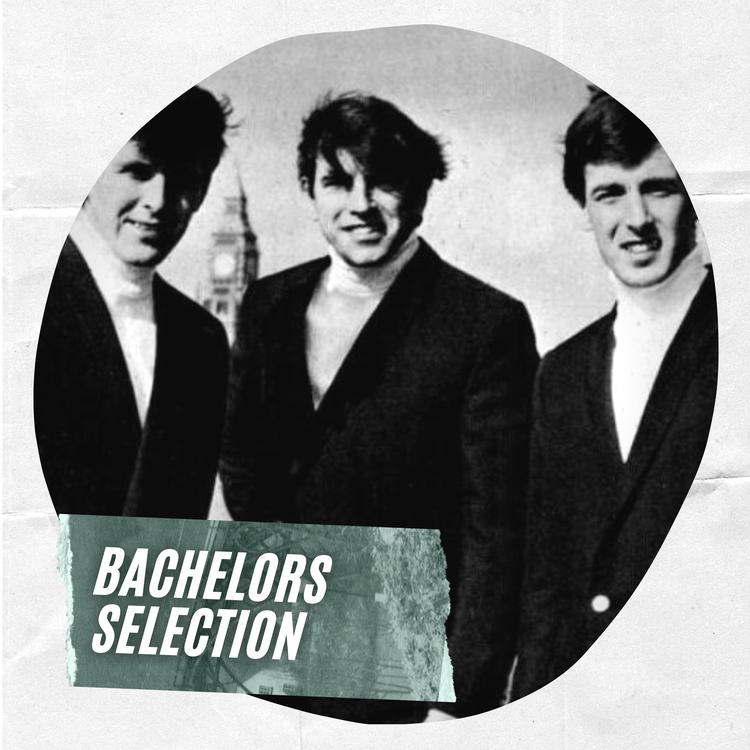 The Bachelors's avatar image