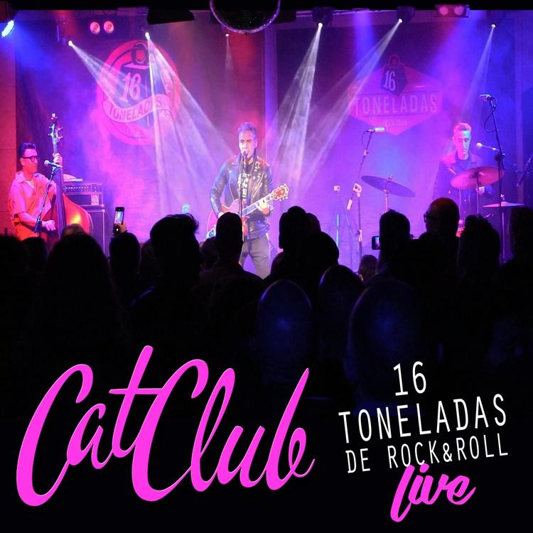 Cat Club's avatar image