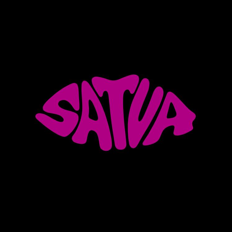 Satva's avatar image