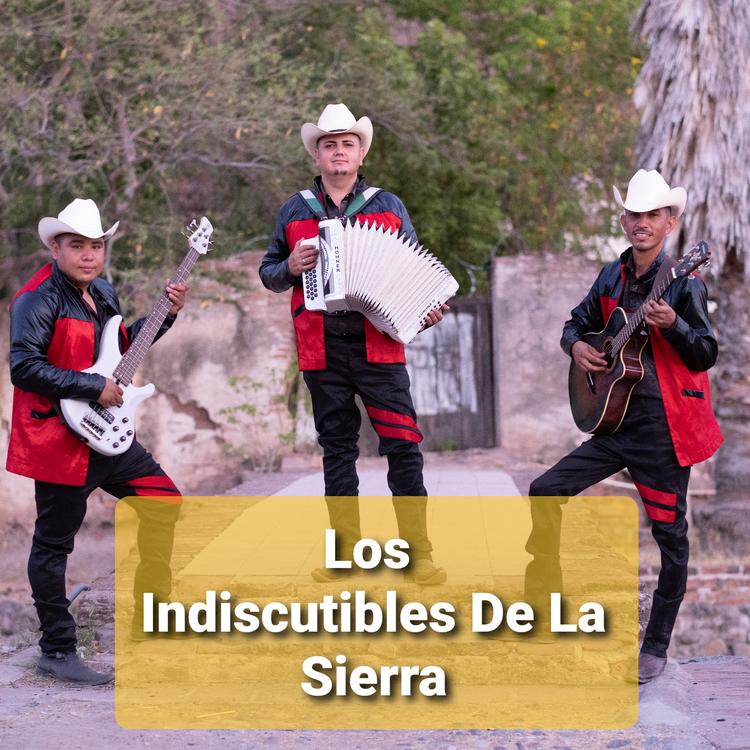 Los Indiscutibles De La Sierra's avatar image