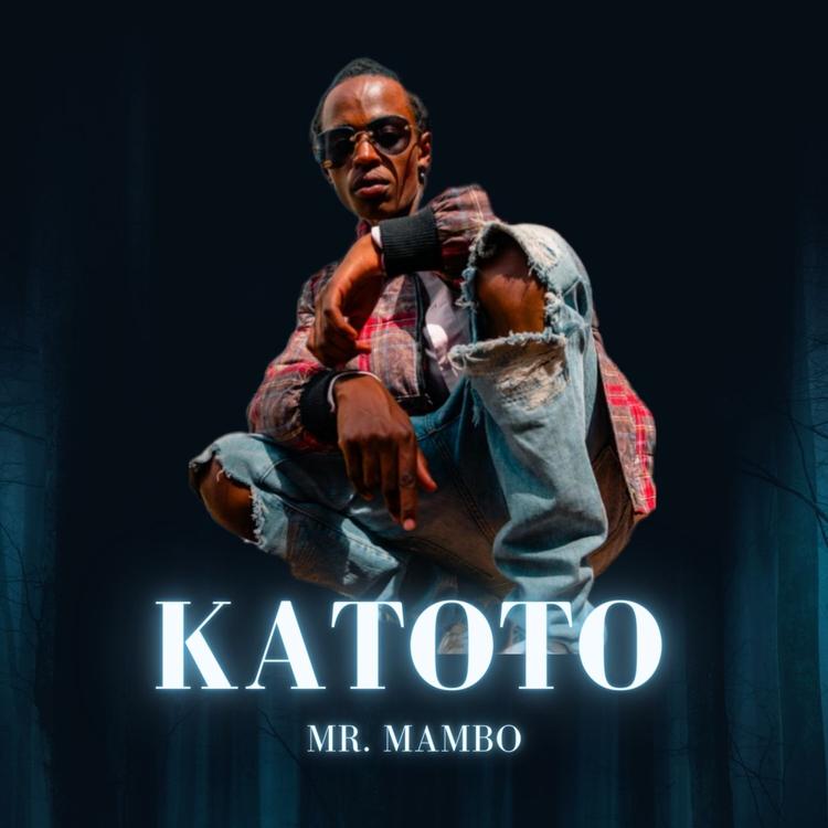 Mr. Mambo's avatar image
