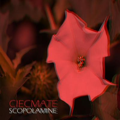 Scopolamine's cover