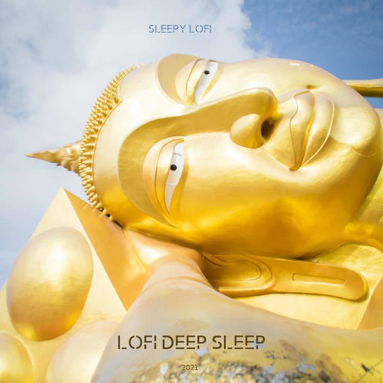 Lofi Deep Sleep's avatar image