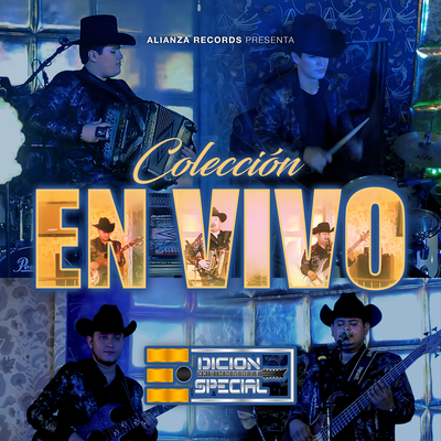 Los Recuerdos del 1 (En Vivo)'s cover