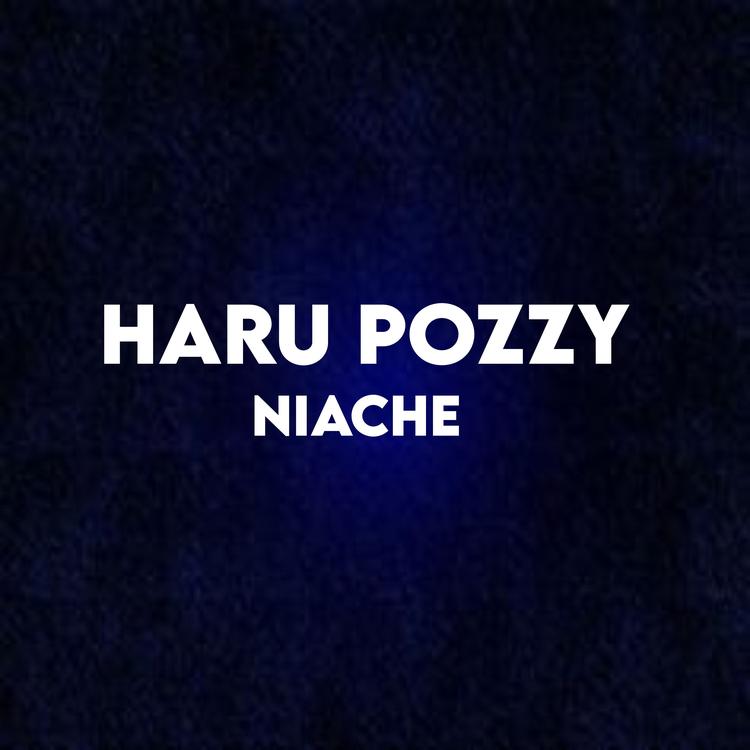 Haru pozzy's avatar image
