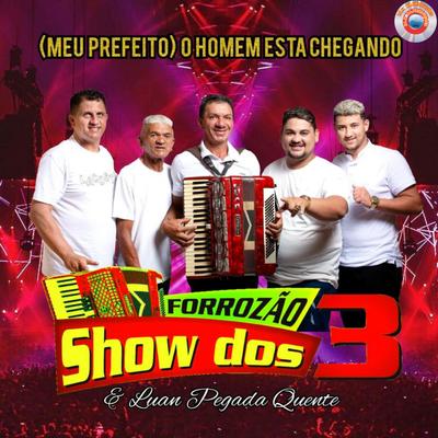 Meu Vereador By FORROZÃO SHOW DOS 3 E LUAN PEGADA QUENTE's cover