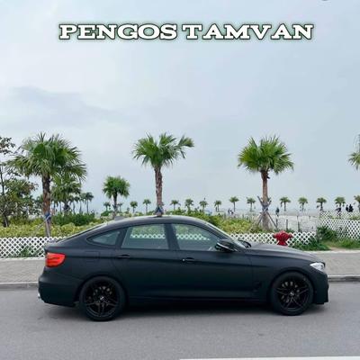 Dj remix pengos tamvan's cover