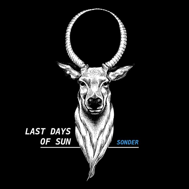 Last Days of Sun's avatar image