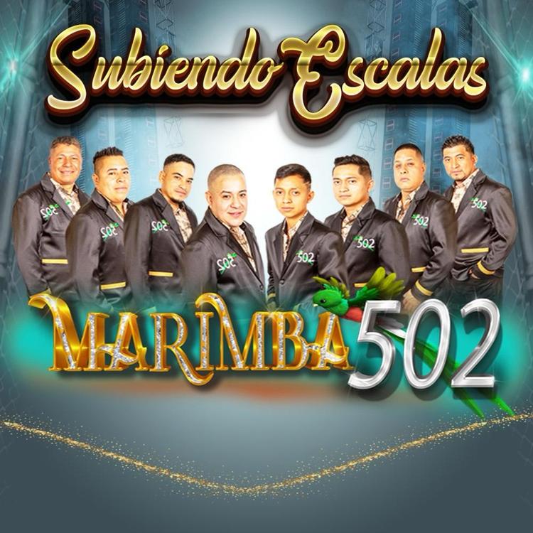 marimba 502's avatar image