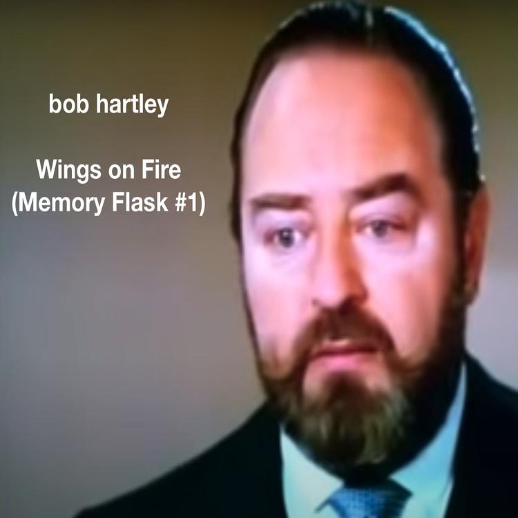 Bob Hartley's avatar image