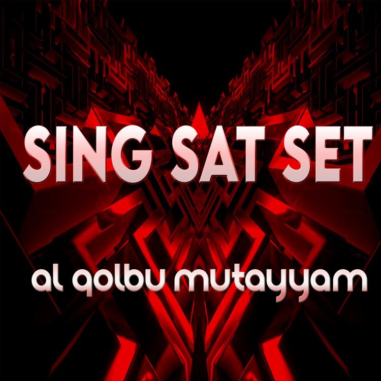 SING SAT SET's avatar image