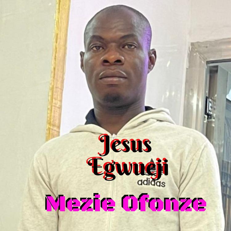 Mezie Ofonze's avatar image