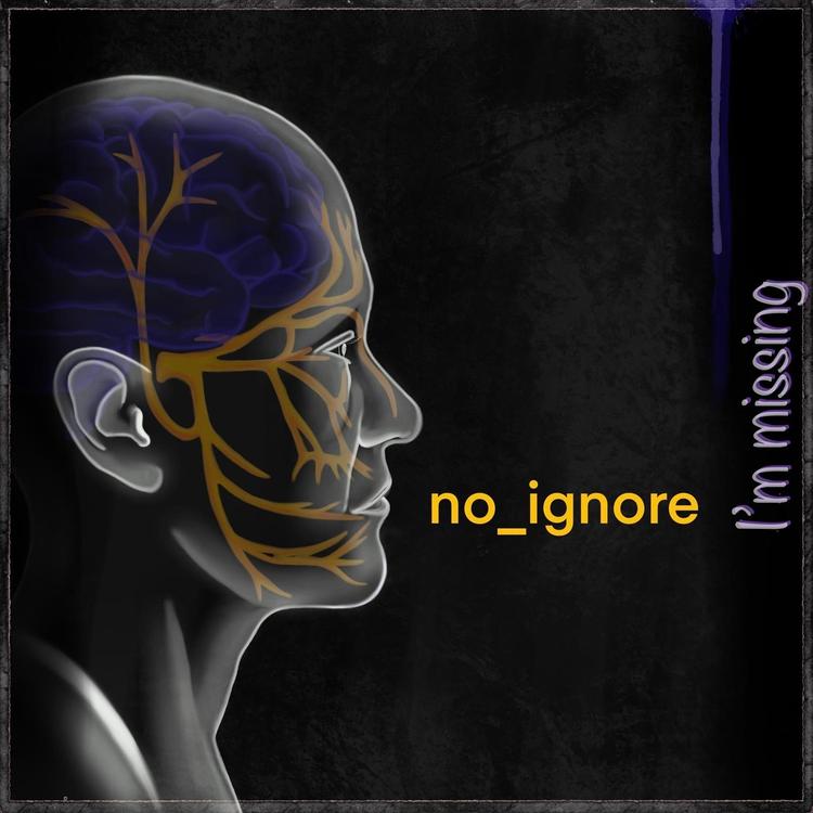 no_ignore's avatar image